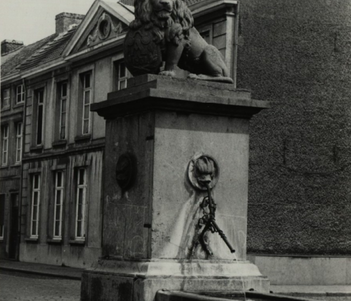 La fontaine aux lions