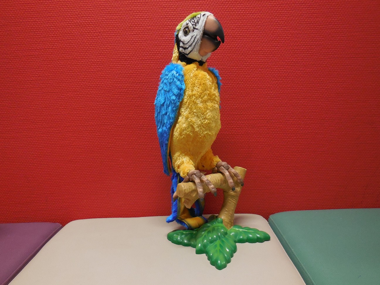 COCO de papegaai
