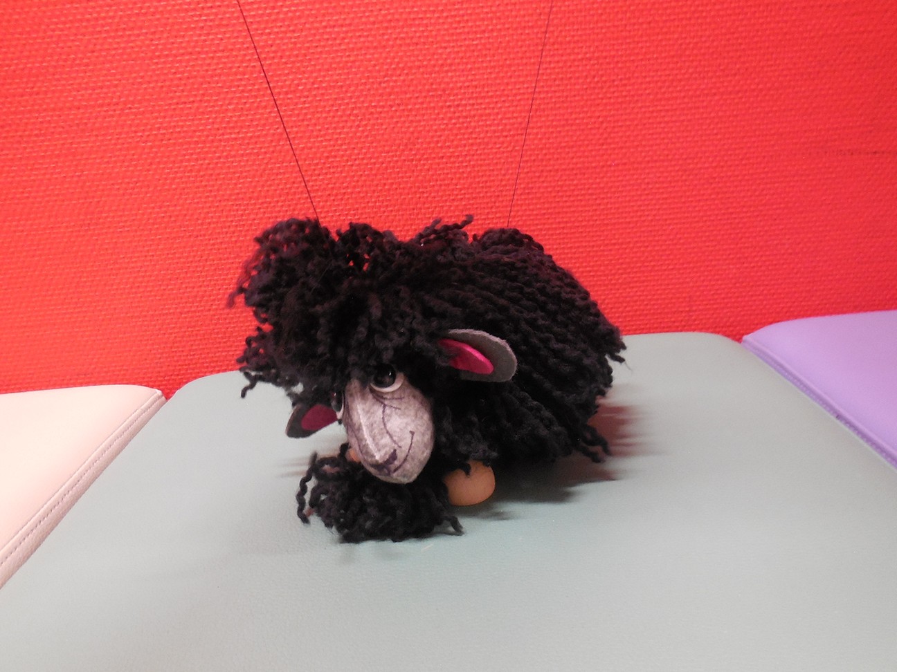 Zwart schaap