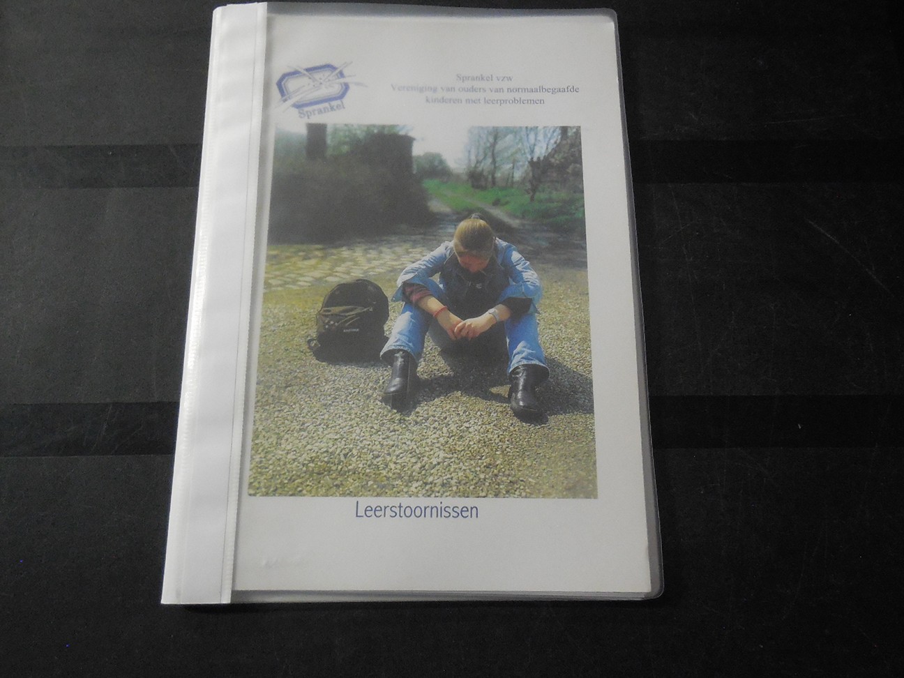 Leerstoornissen