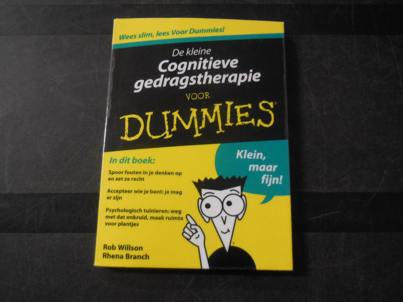 Gognitieve gedragtherapie