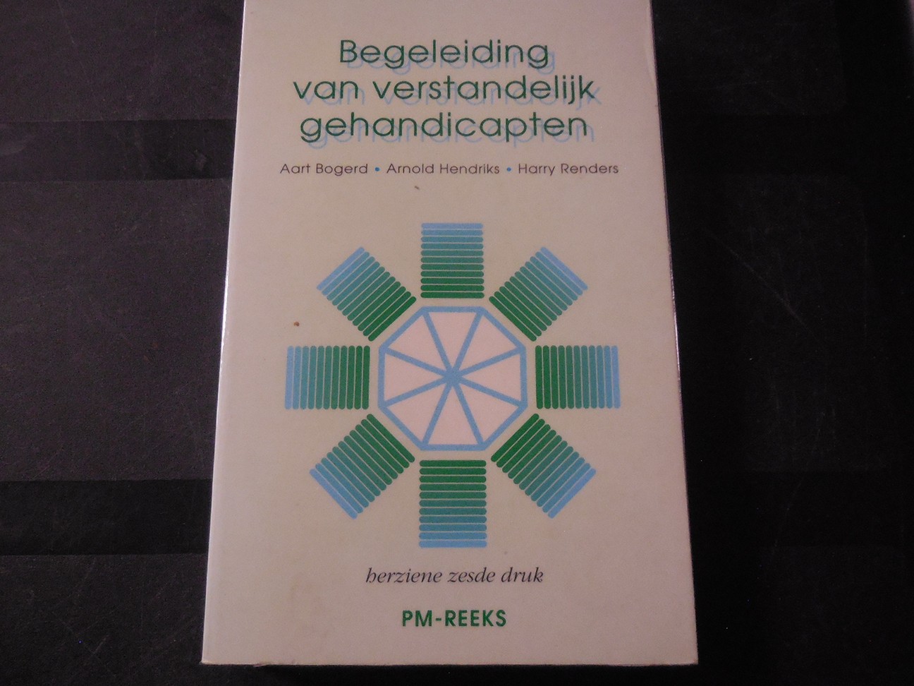 Begeleiding van verstandelijk gehandicapten