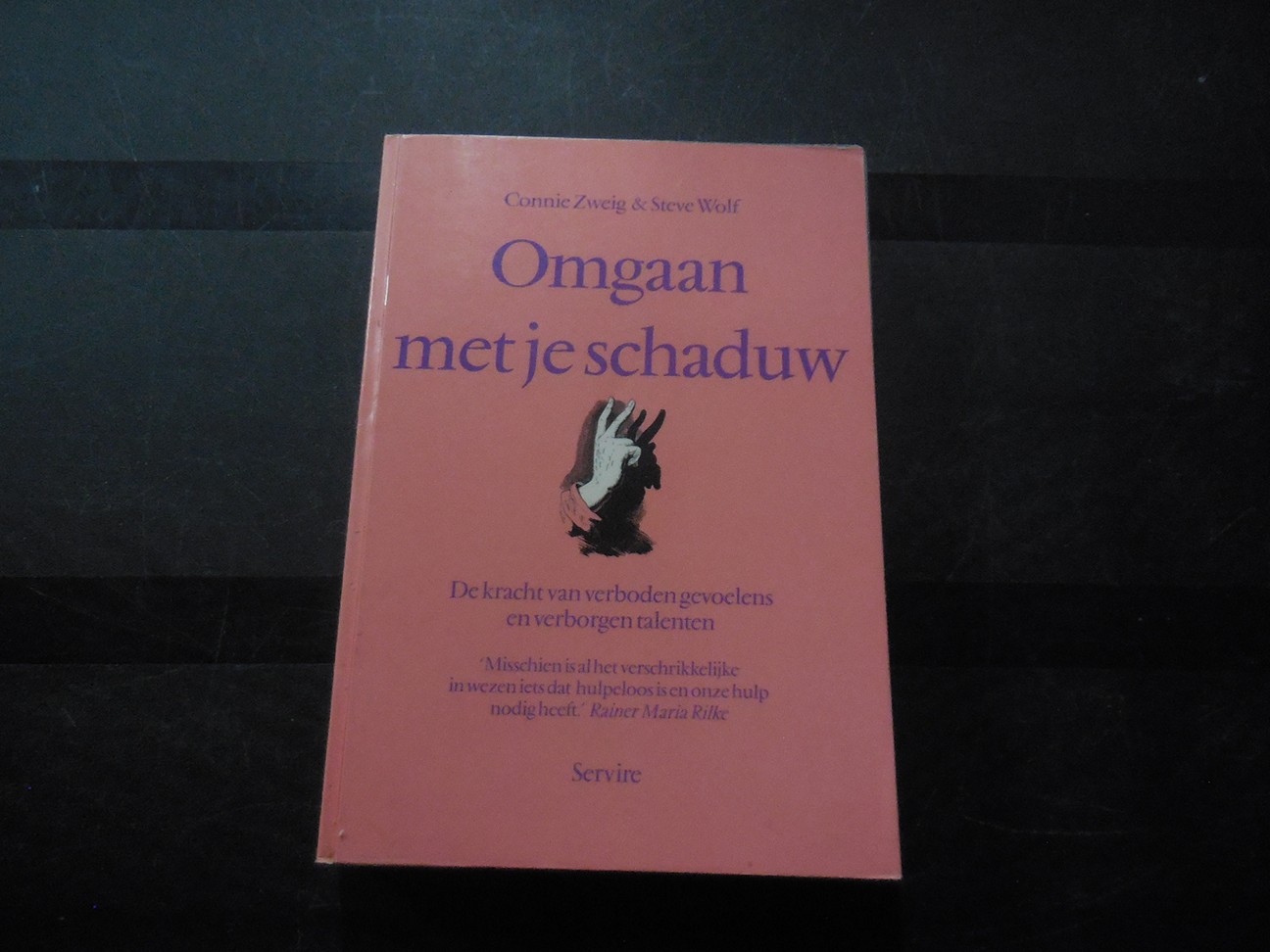 Omgaan met je schaduw