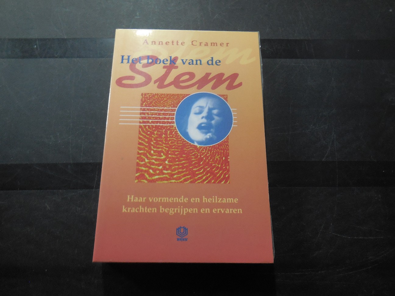 Het boek van de stem