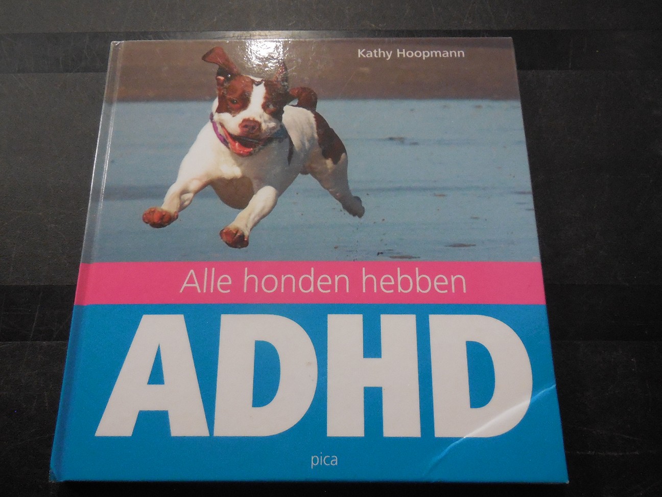 Alle honden hebben ADHD