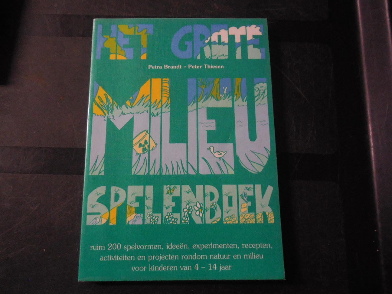 Het grote milieuspelenboek	