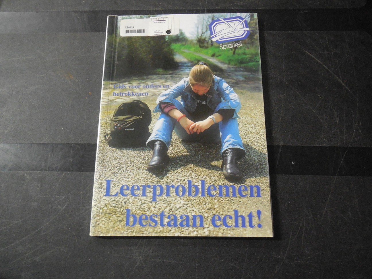 Leerproblemen bestaan echt