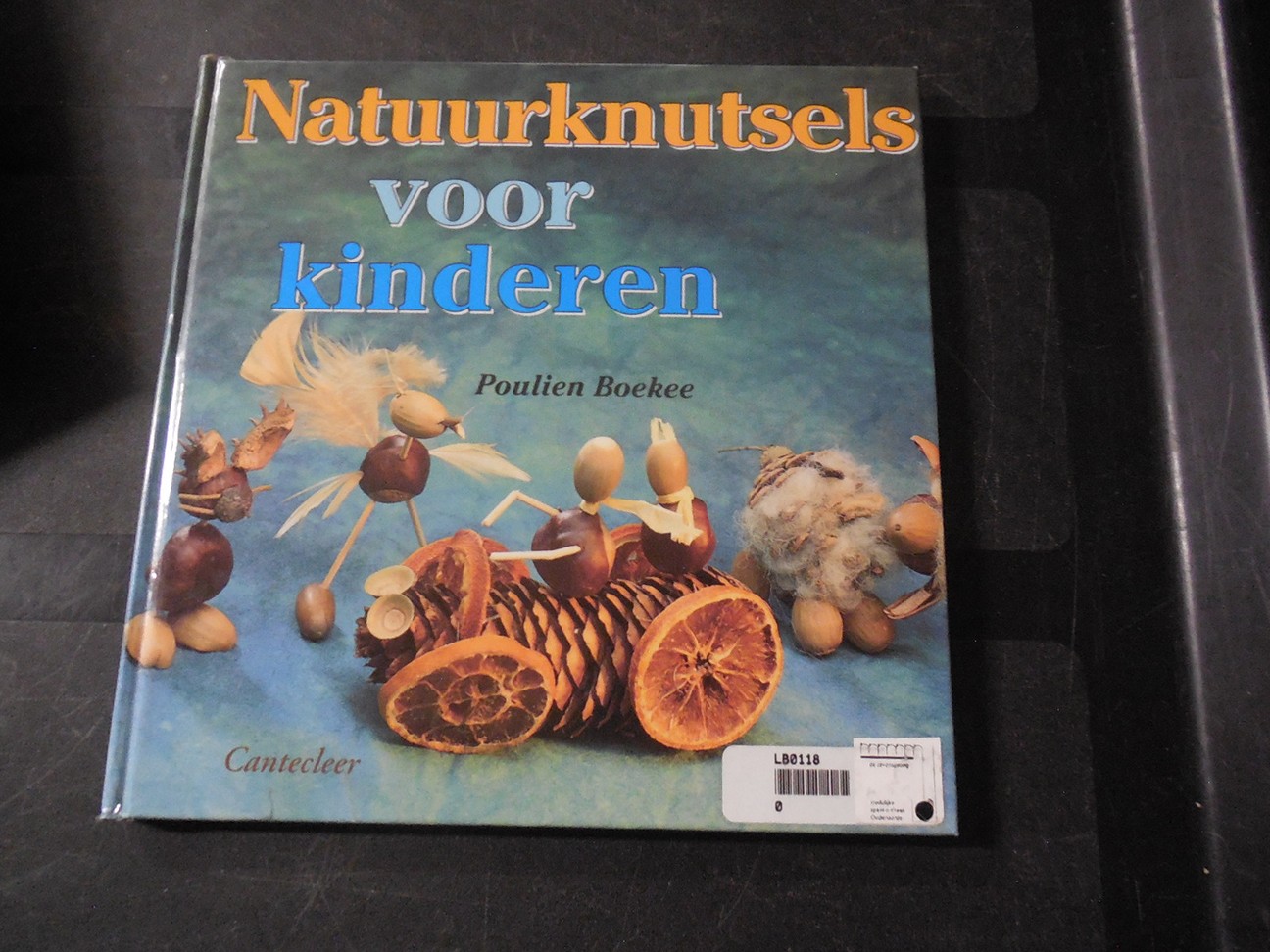 Natuurknutsels voor kinderen