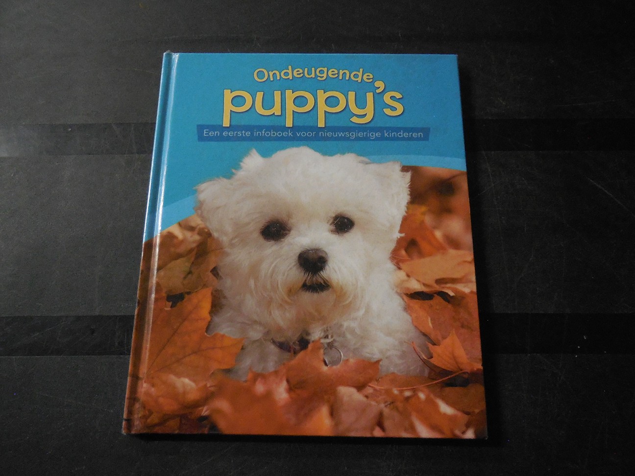 Ondeugende puppy’s