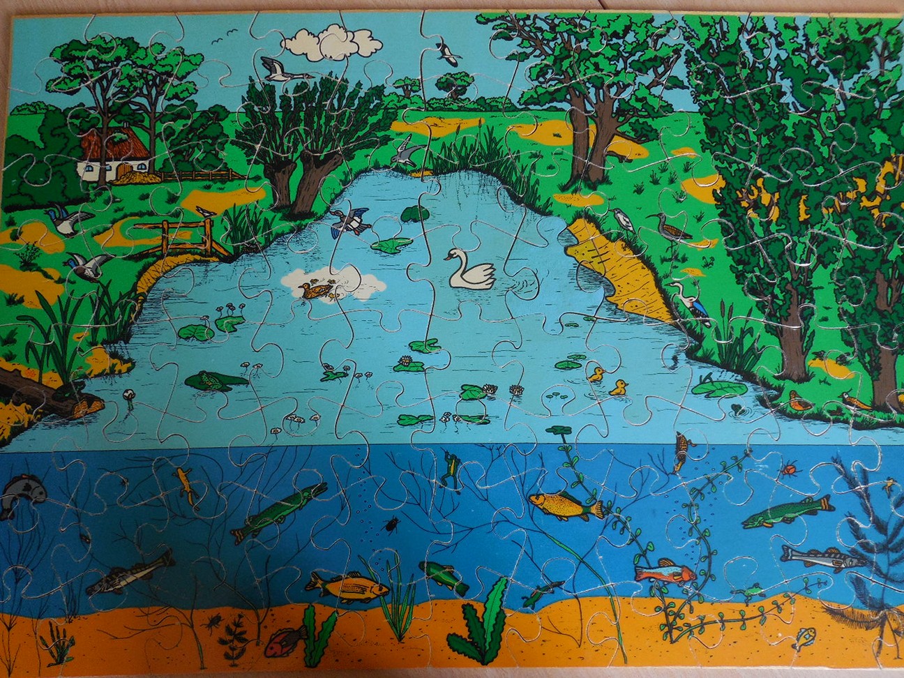 Macro– puzzel vijver