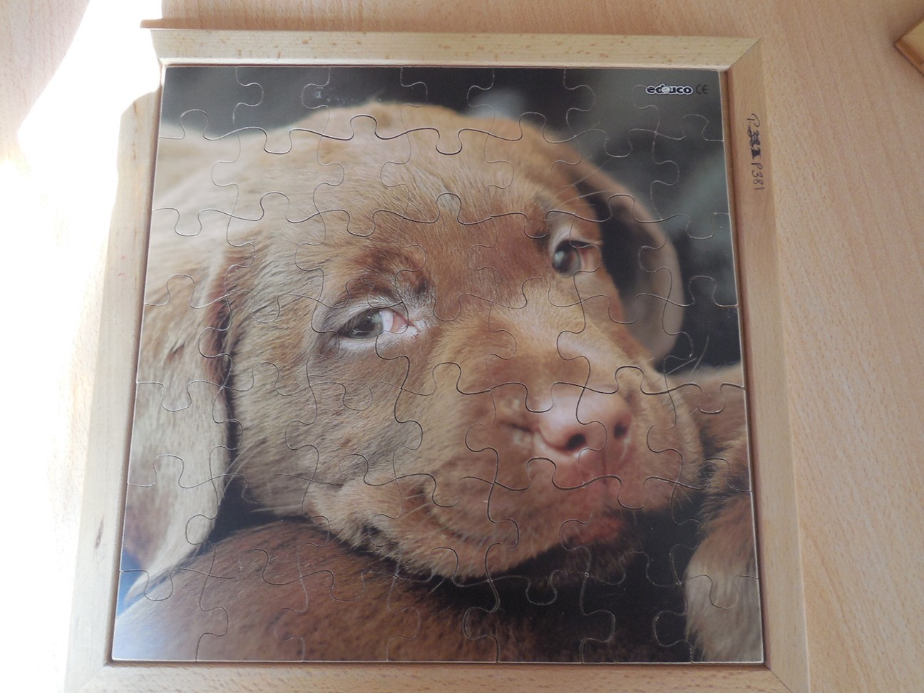 Puzzel: puppy