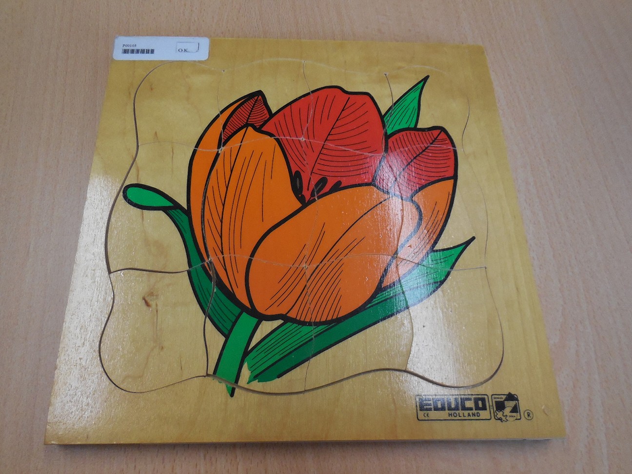 Groeipuzzel “Tulp”	