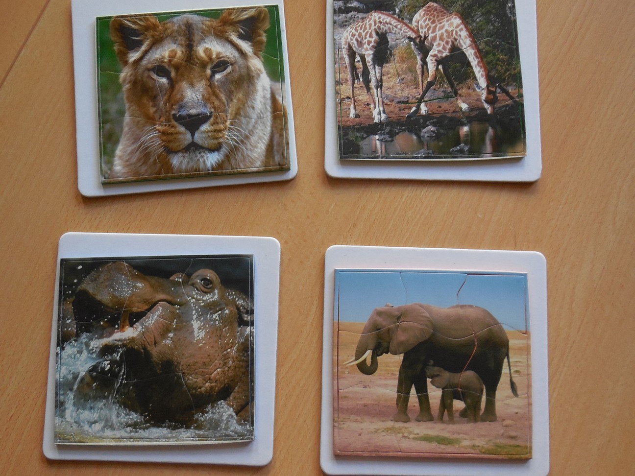 Magn. Puzzels wilde dieren