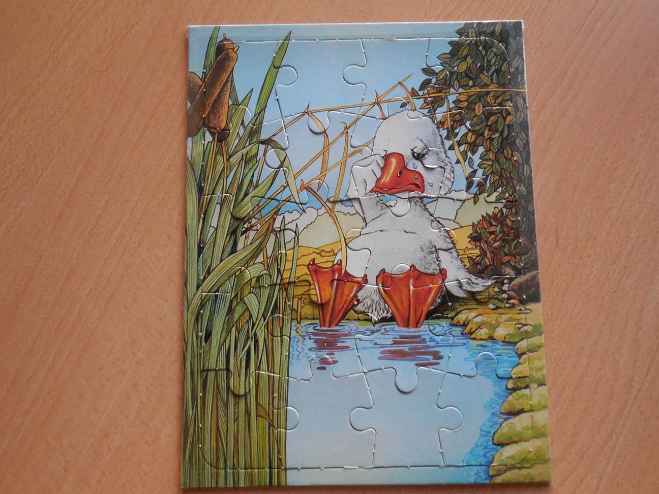 Puzzel: Het verdrietige eendje