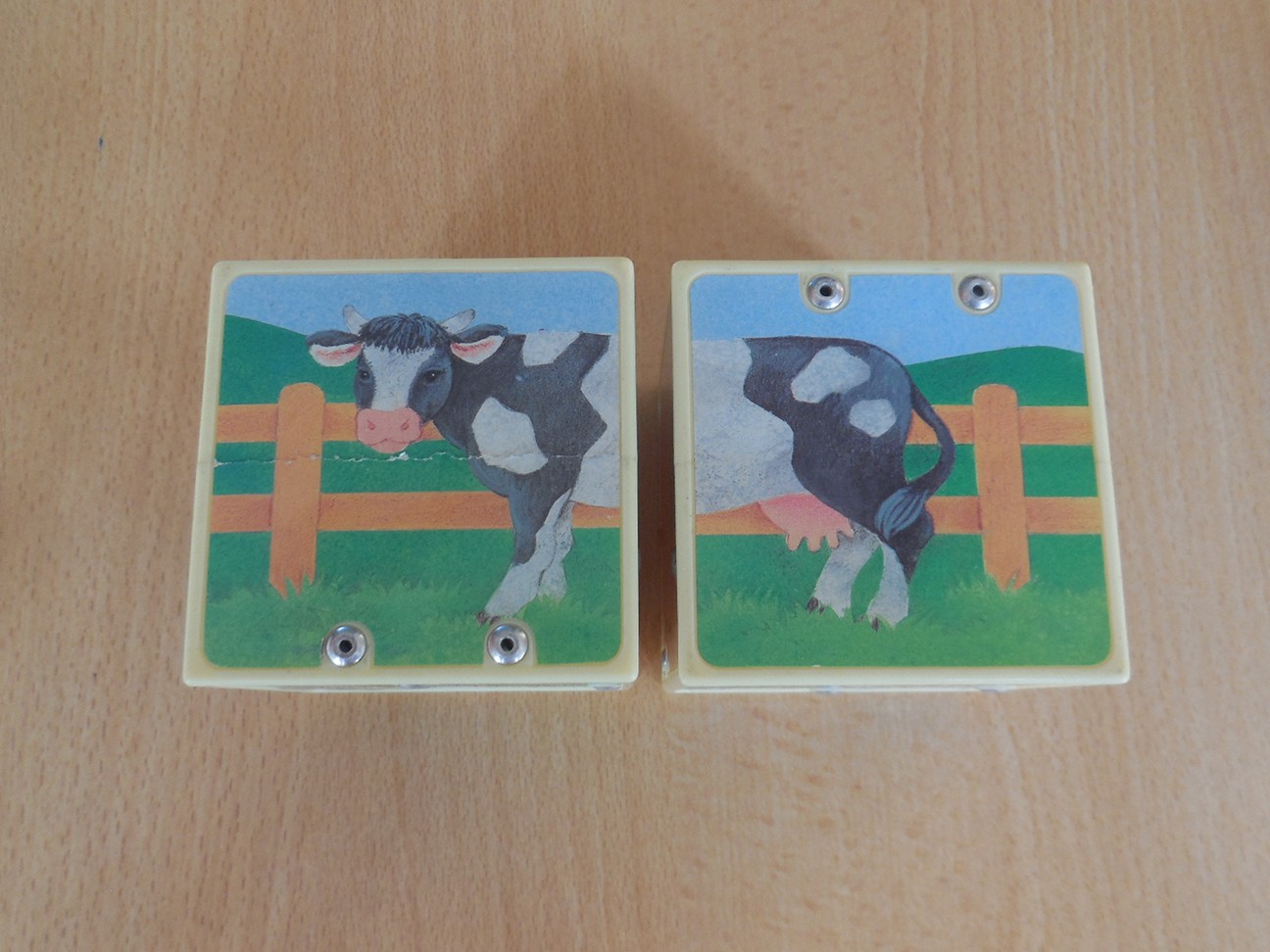 Dierengeluiden kubus