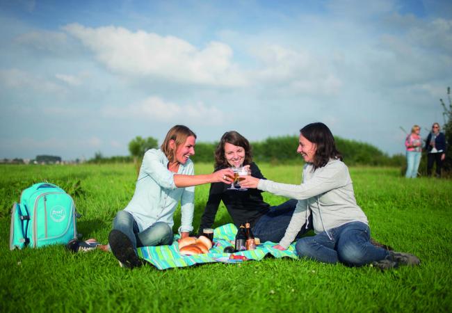 Picknicken