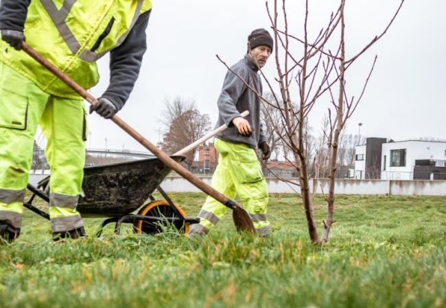 Aanplanten groen