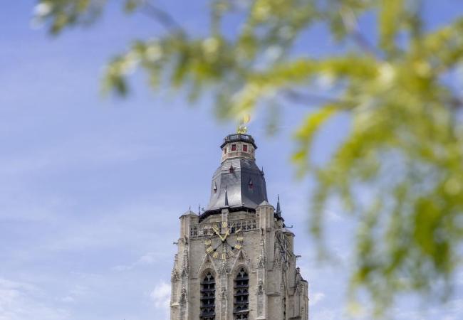 Feestdag Sint-Walburgakerk