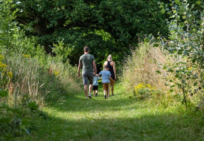 Wandelaar is bos 't Ename