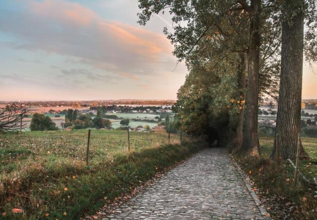 Een mooie herfstwandeling in het Koppenbergbos