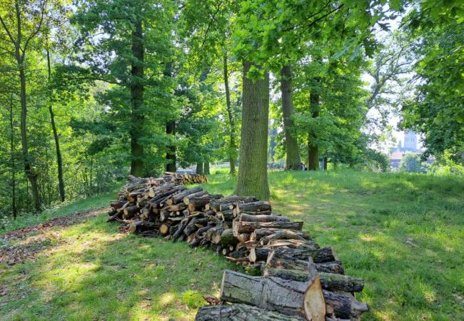 Liedtspark