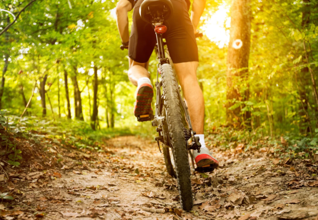 MTB-routes Oudenaarde