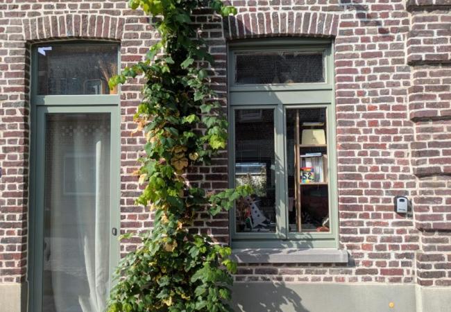 Voorbeeld geveltuintje in Oudenaarde