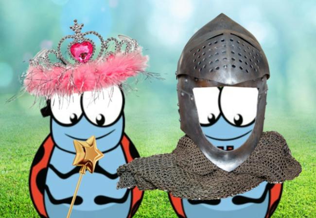 Ridders en prinsessen Leupegem (13-17/07/2026) © Kriebelkampen / Creafant vzw