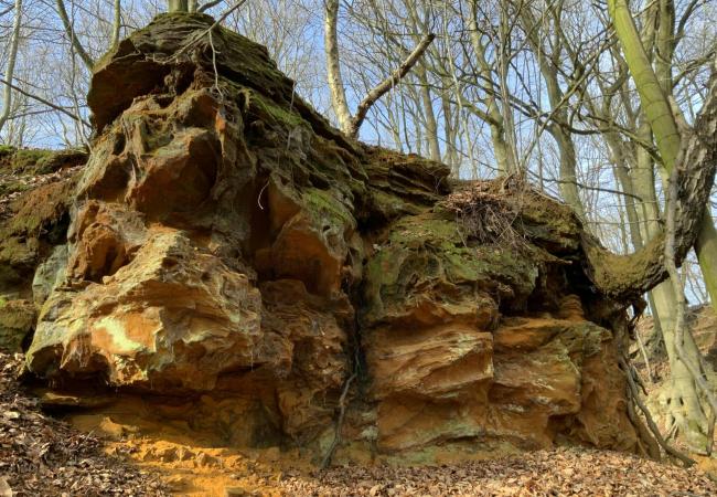 Cursus geologie Vlaamse Ardennen © Filip Keirse