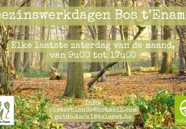 Gezinswerkdag Bos t'Ename © Bos t'Ename