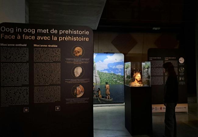 Oog in oog met de prehistorie © Provincie Oost-Vlaanderen