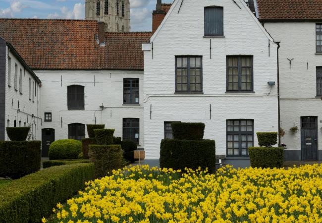 Stad van vrouwen. Over begijnen en begijnhoven © davidsfondsevenementen