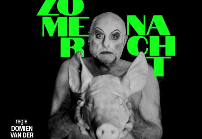 ZOMERNACHT © Michèle Van Wassenhove