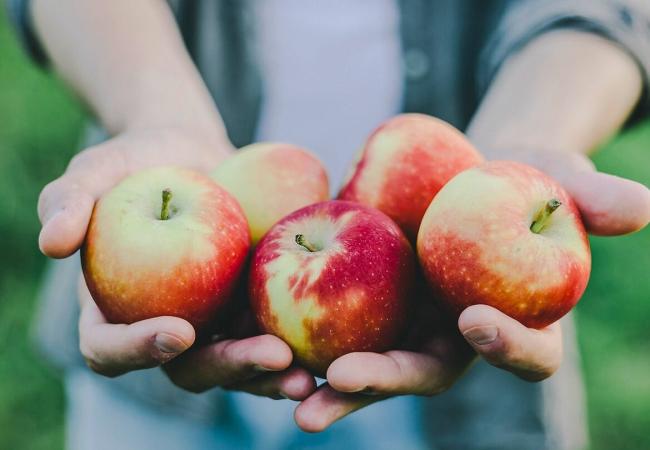 Appel babbel sneukel kwis wandeling © Valeria Aksakova