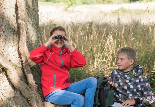 Herfstvakantie: Bosdetectives voor families © Provincie Oost-Vlaanderen