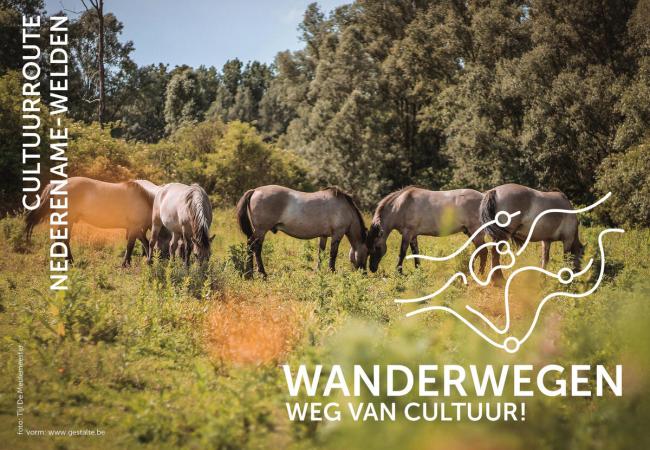 3. Wanderwegen Nederename-Welden