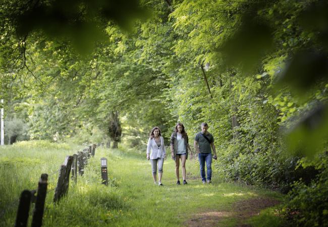 Wandelen