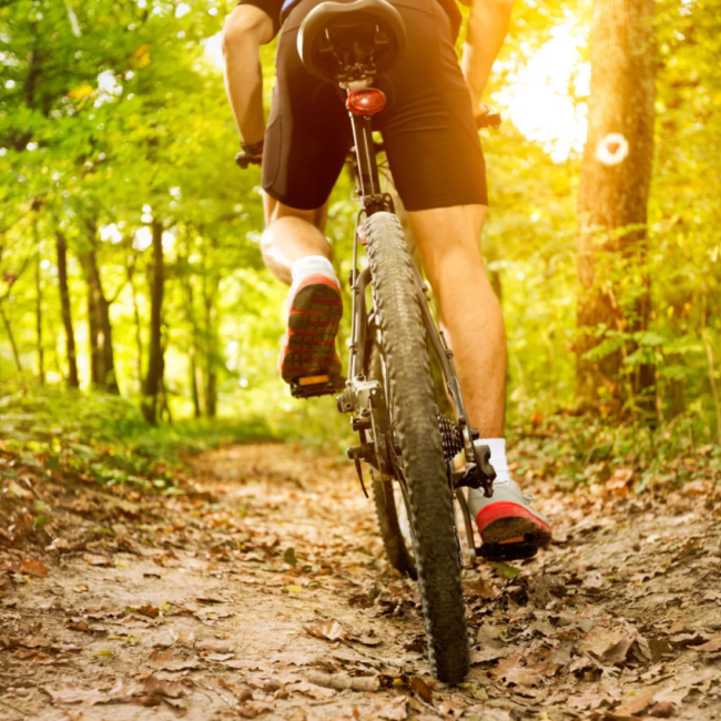 MTB-routes Oudenaarde