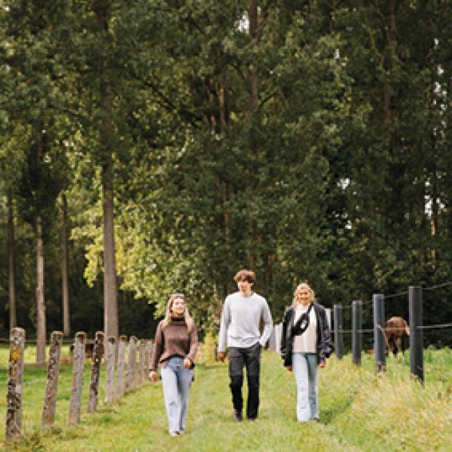 Wandelnetwerken