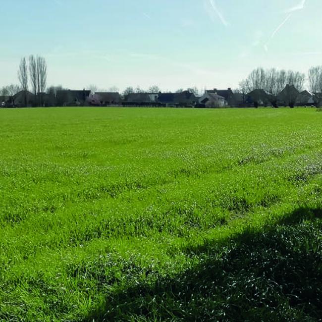 Mullem: wegenis- en rioleringswerken