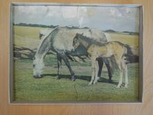 Paarden in de wei