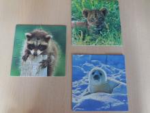 Babydieren