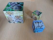 Magnetische puzzel 3D