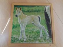 Puzzel: Veulen