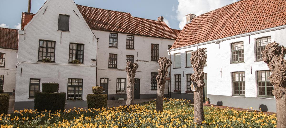 Oudenaarde, groeiend groene stad!