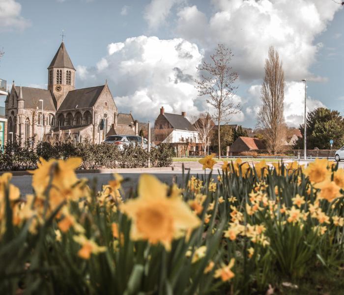 Groen in de stad